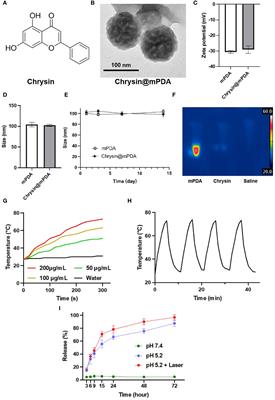 Enhancing breast cancer treatment: mesoporous dopamine nanoparticles in synergy with chrysin for photothermal therapy